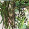 Jungles With See-Through Pages - Image 3