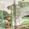Jungles With See-Through Pages - Image 5