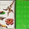Jungles With See-Through Pages - Image 6