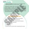 Spectrum Social Studies 1 - Image 3