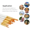12Pcs Multi Shapes Artist Paint Brush Set - Image 4