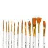 12Pcs Multi Shapes Artist Paint Brush Set