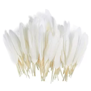 50 Craft Feathers (White)