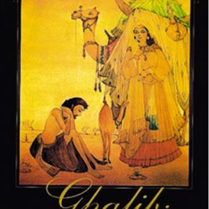 Ghalib Interpretations
