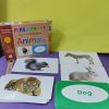 Animals Flash Cards - Image 4