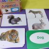 Animals Flash Cards - Image 2