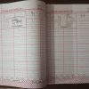 English-Copy Series (Kids Creative)-Pre-Primary-Level-2 - Image 4