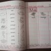English-Copy Series (Kids Creative)-Pre-Primary-Level-3 - Image 3