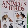 My Smart Book Animals And Birds