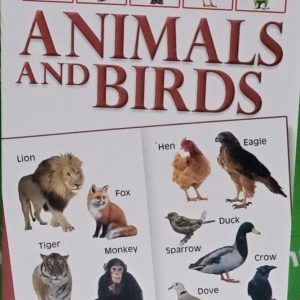 My Smart Book Animals And Birds