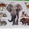 My Smart Book Animals And Birds - Image 2