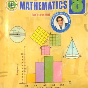 Mathematics For Class 8 (SIndh Text Book Board)
