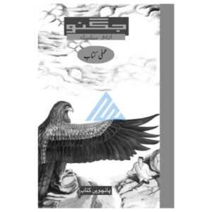 Jugnoo Shaheen Workbook 5