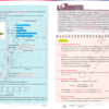 think! New Syllabus Mathematics 2 (8th edition) - Image 4