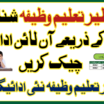 Benazir Taleemi Wazaif Check Online