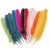 50 Multicolor Craft Feathers For Creativity Feathers