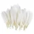 50 Craft Feathers (White)
