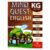 Mind Quest English Book KG