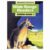 Wide Range Readers Green Book 5